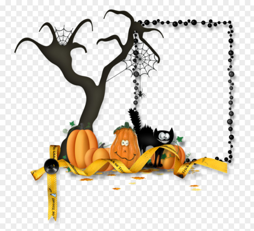 Halloween Picture Frames Graphic Photography Clip Art PNG