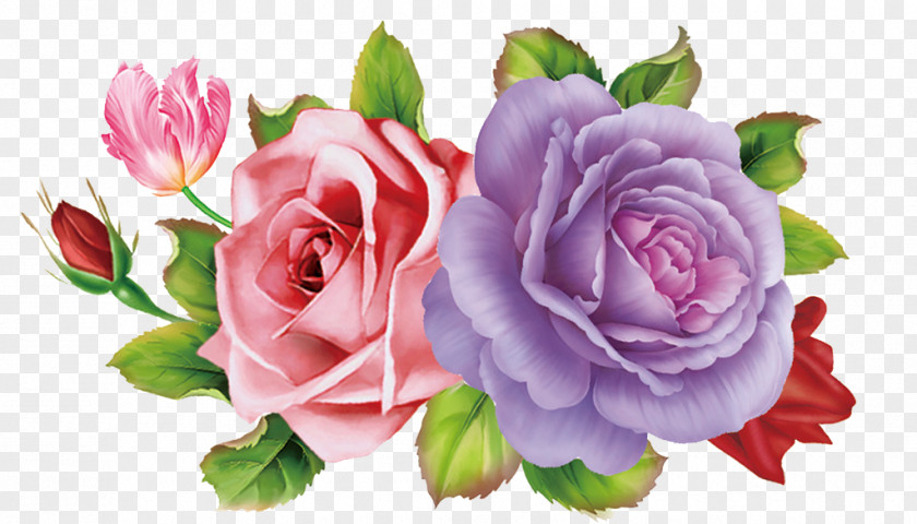 Hand-painted Roses PNG roses clipart PNG