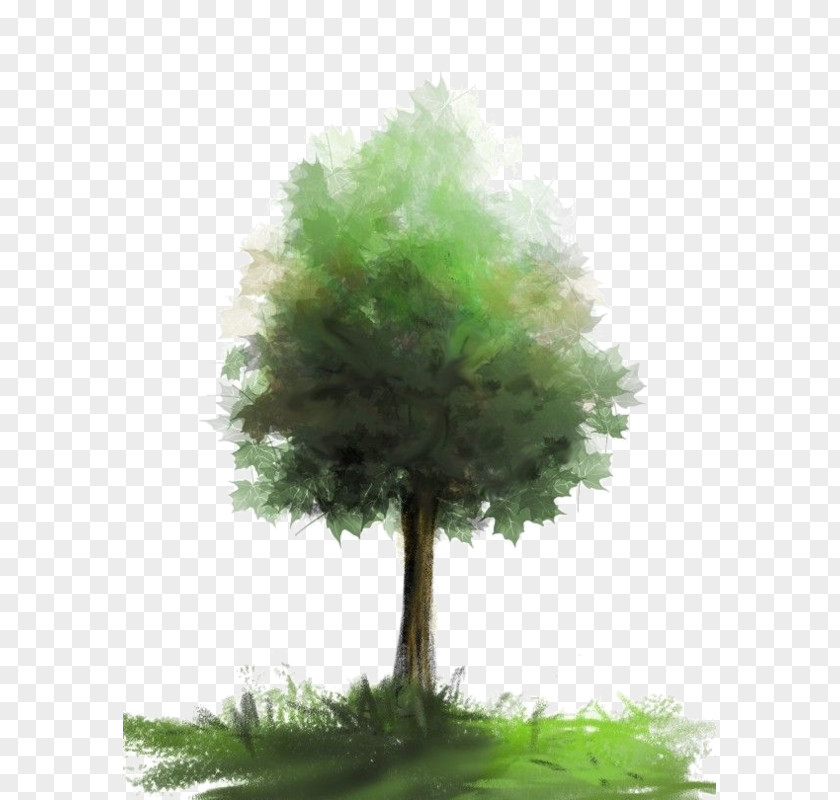 Aquarell Watercolor Painting Brush Tree PNG