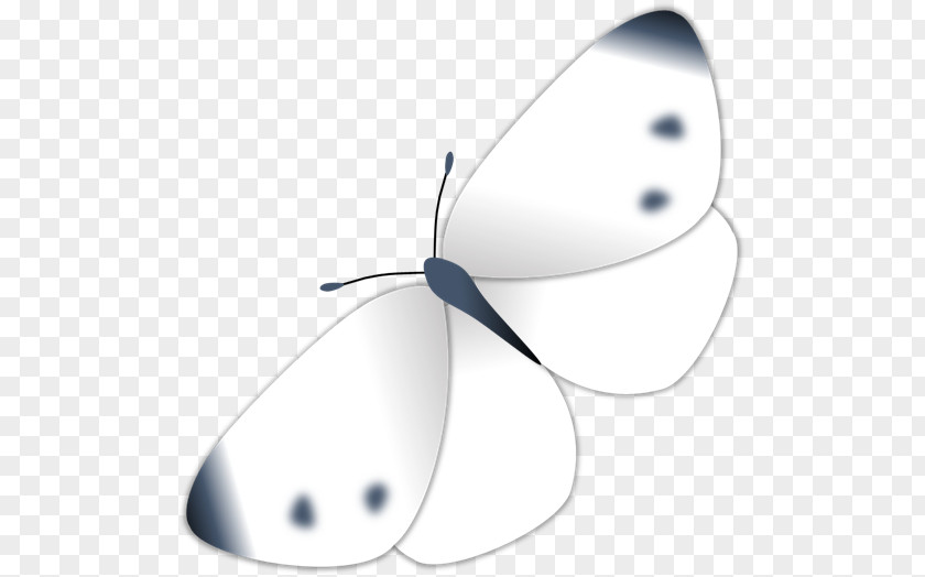 Butterfly Product Design Clip Art PNG