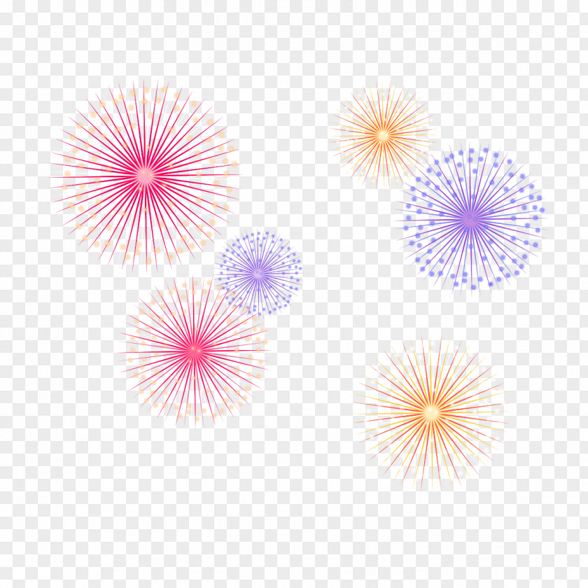 Colorful Fireworks Style Petal Pattern PNG
