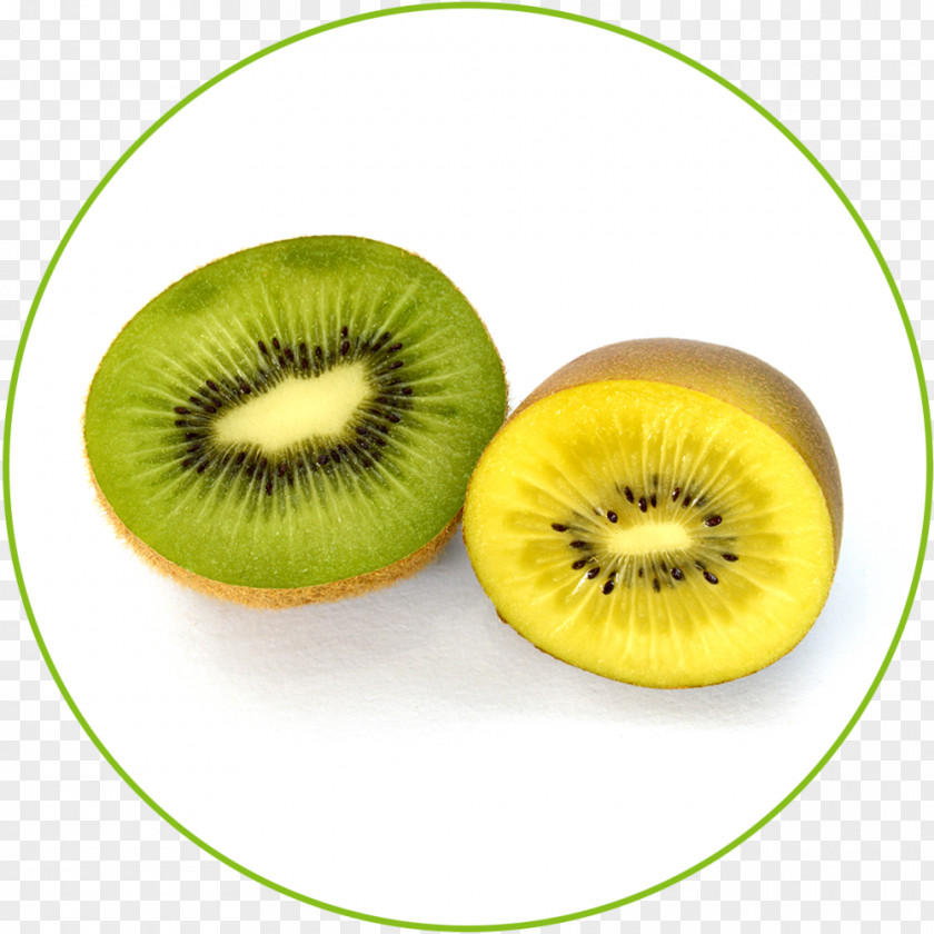 Feijoa Kiwifruit Food Business Actinidia Chinensis PNG