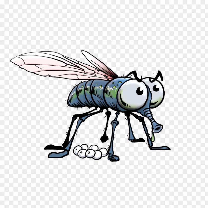 Insect Cartoon Clip Art PNG