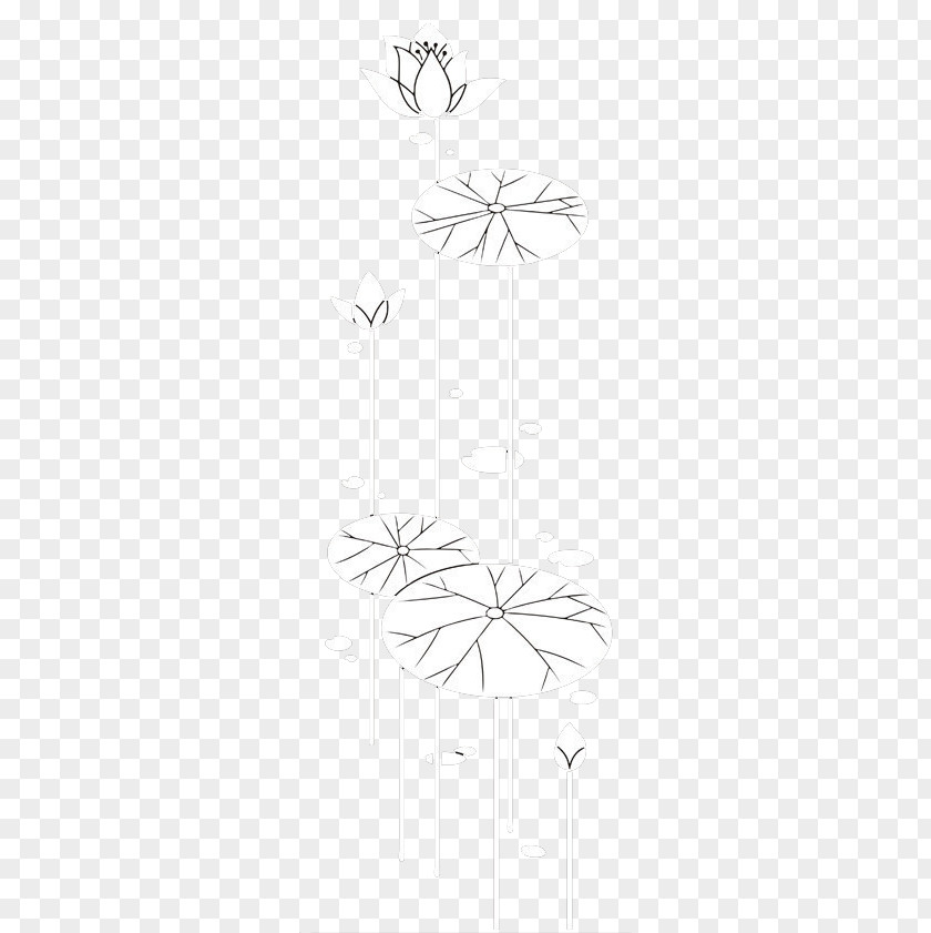 Lotus Structure Sketch PNG