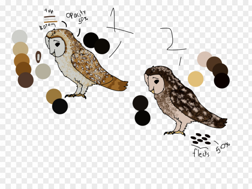 Owl Illustration Cartoon Fauna Beak PNG