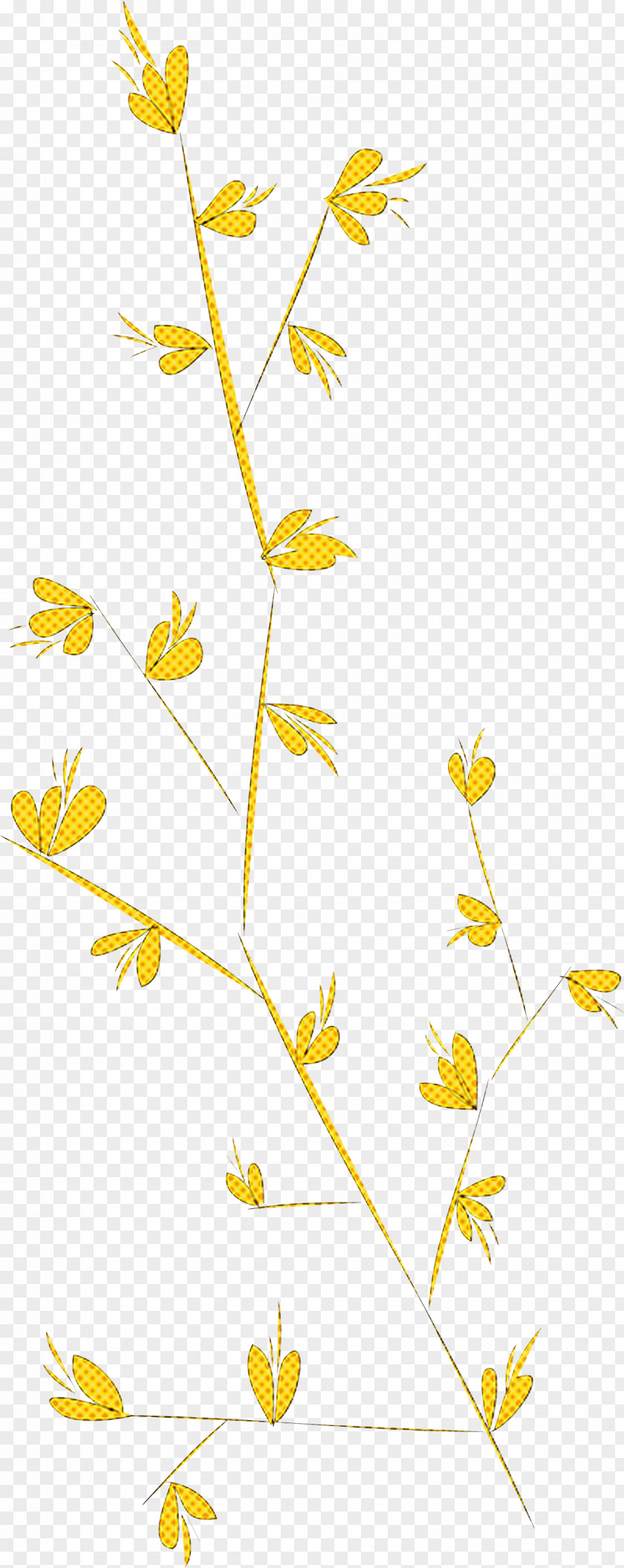 Simple Leaf Drawing Outline PNG