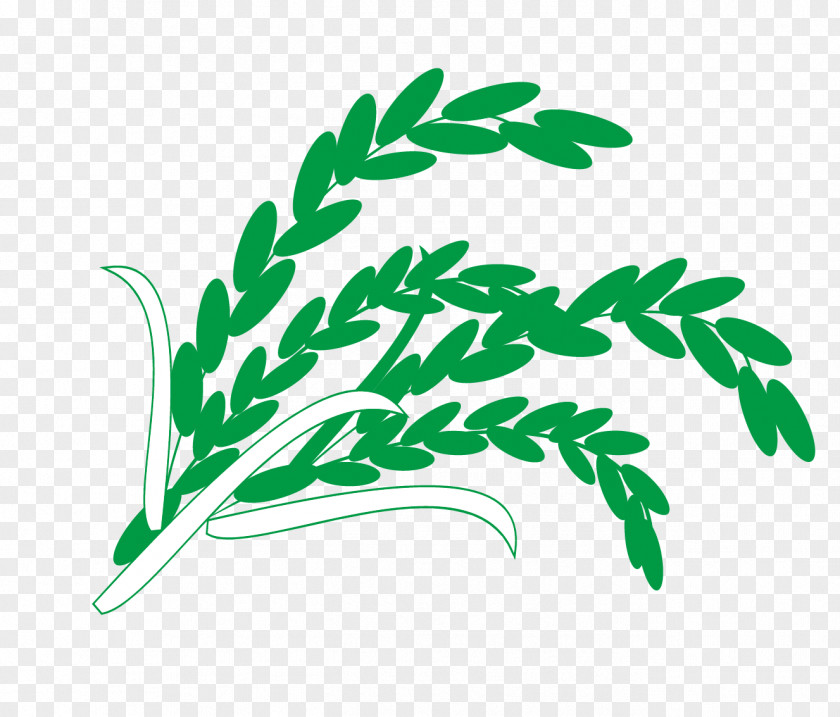 Vector Rice And Wheat PNG
