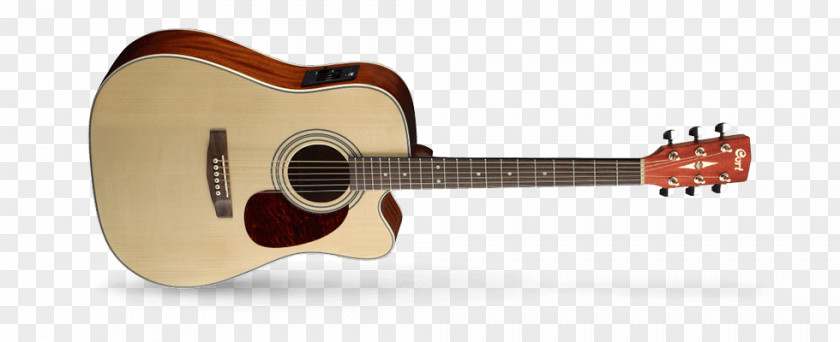 Acoustic Guitar Cort Guitars Musical Instruments Dreadnought PNG
