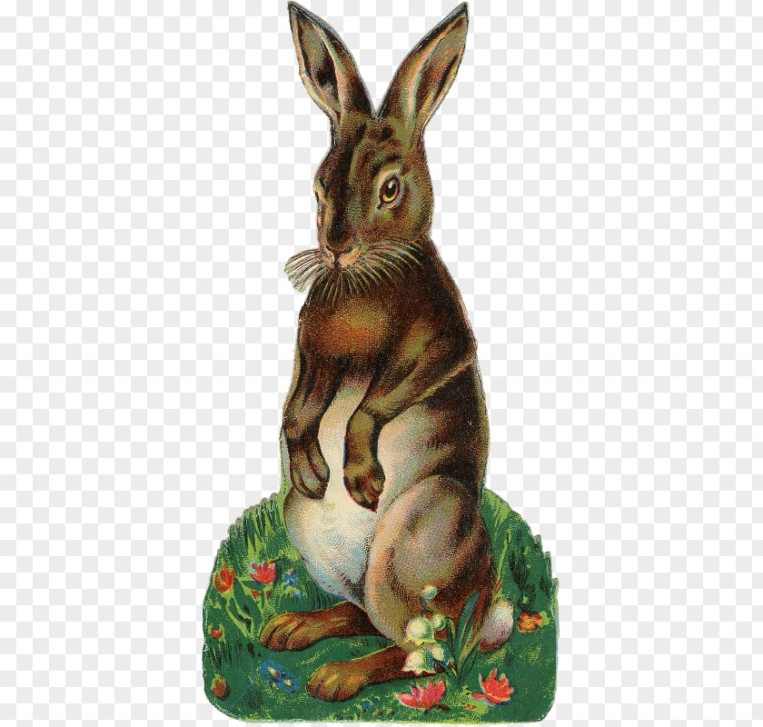 Antique Easter Bunny Hare Rabbit Illustration PNG
