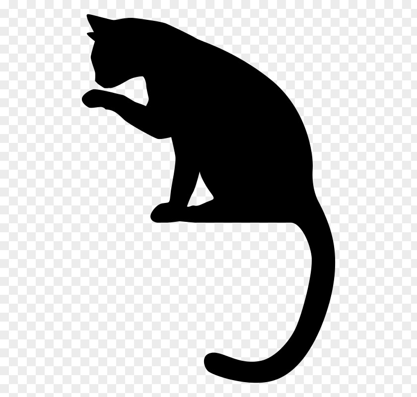 Black Cat Claw Tail Silhouette Small To Medium-sized Cats Black-and-white PNG