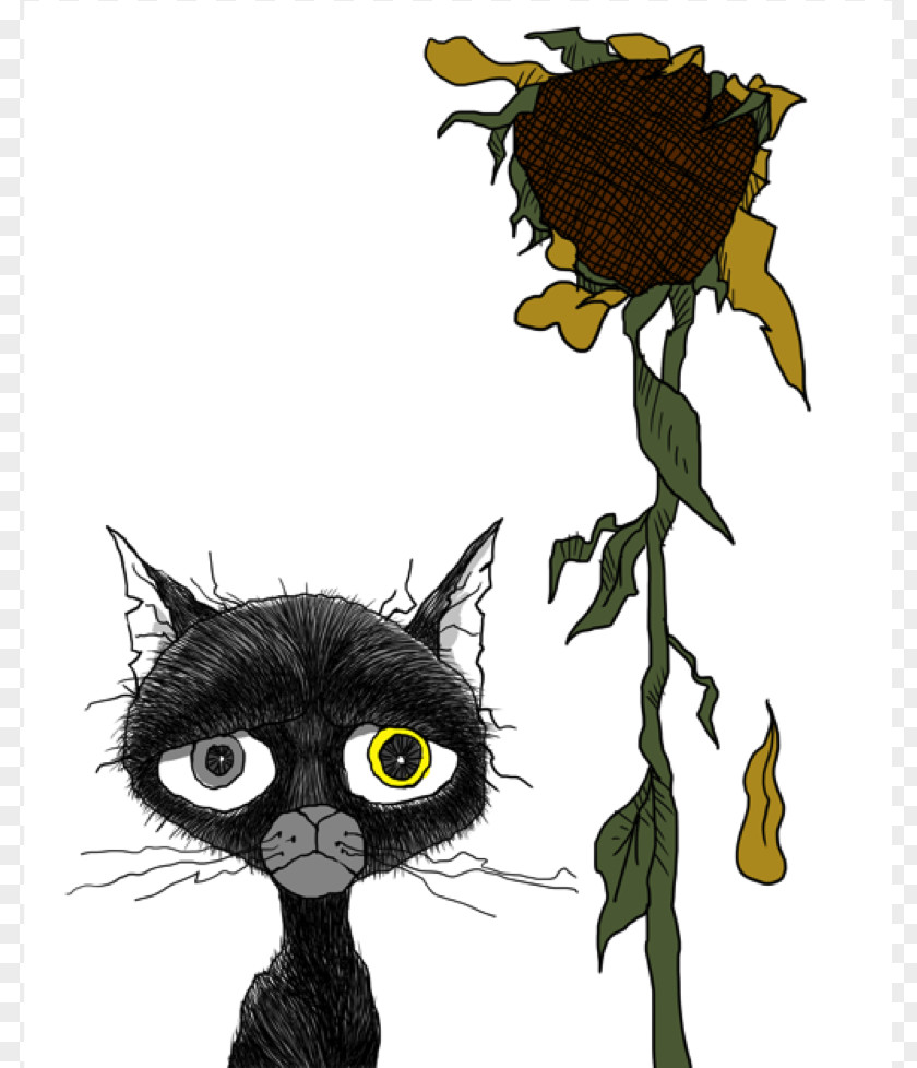Black Cat Illustrations Clip Art PNG