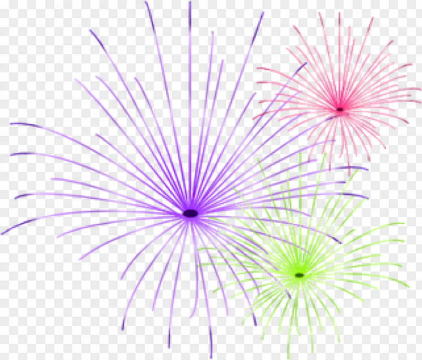 Fireworks New Year Firecracker Clip Art PNG