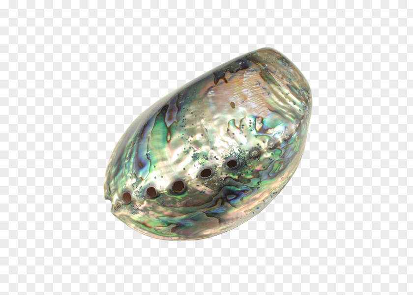 Gemstone Abalone Jewelry Design Jewellery PNG