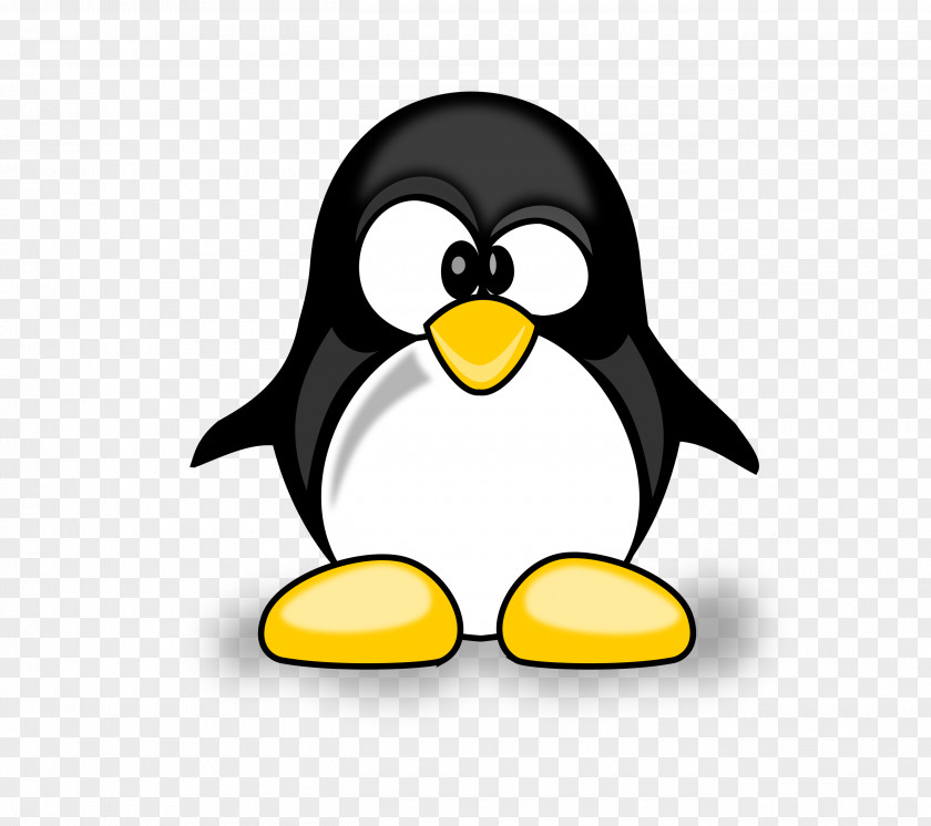 Penguin Google Panda Search Engine Optimization PNG