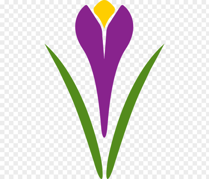 Saffron Flower Clip Art Vector Graphics Image Logo PNG