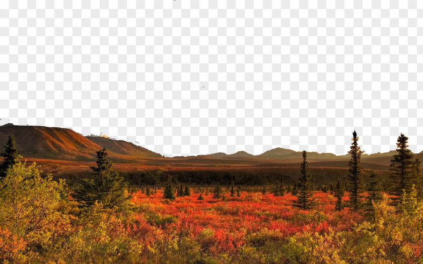 United States Denali National Park Eight 1080p High-definition Television Nature Video Wallpaper PNG