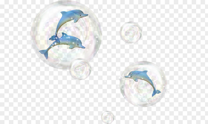 Water Unicorn Dolphin Marine Mammal Clip Art PNG