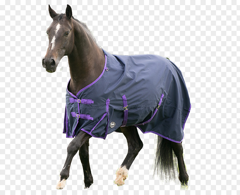 Carpet Gallop Horse Blanket Equestrian Shire PNG