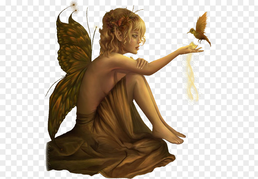 Fairy Angel Elf Mythology Gnome PNG