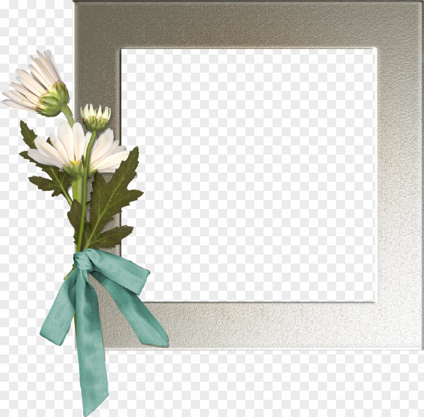 Hani Picture Frames German Chamomile Clip Art PNG