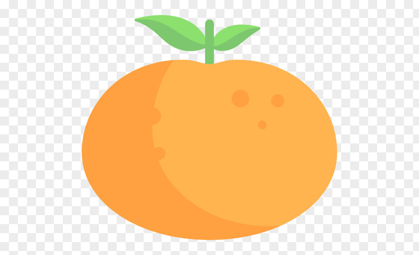 Orange Food PNG