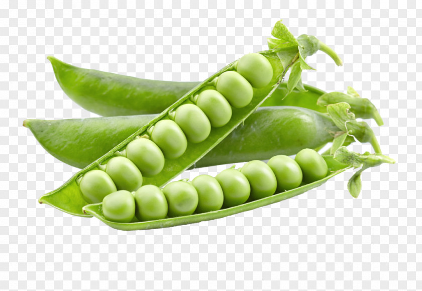 Pea Snap Lentil Vegetable PNG