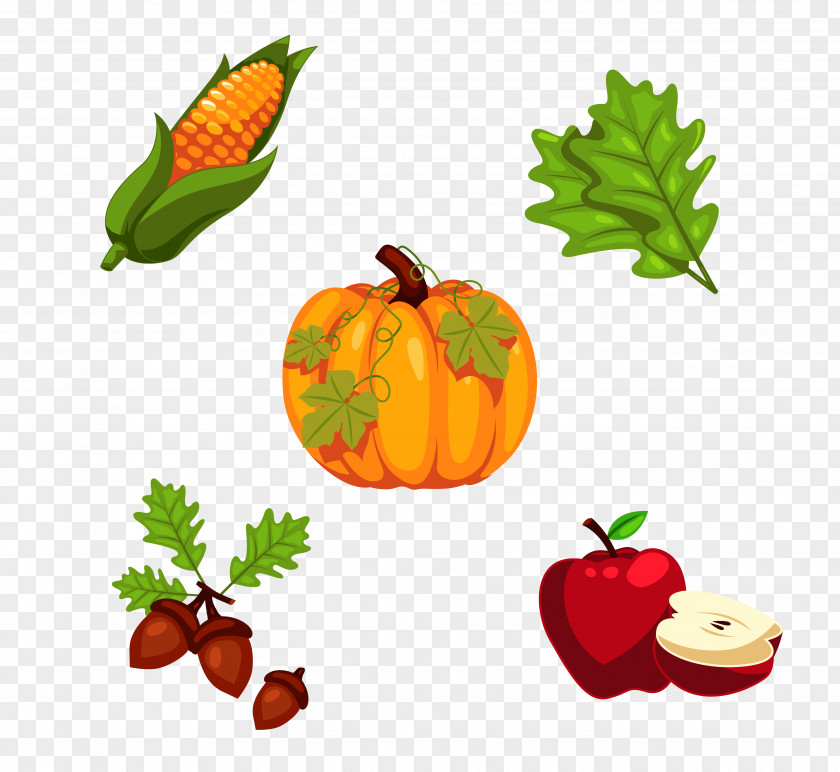 Vector Fruits And Vegetables Turkey Thanksgiving Pumpkin Pie PNG