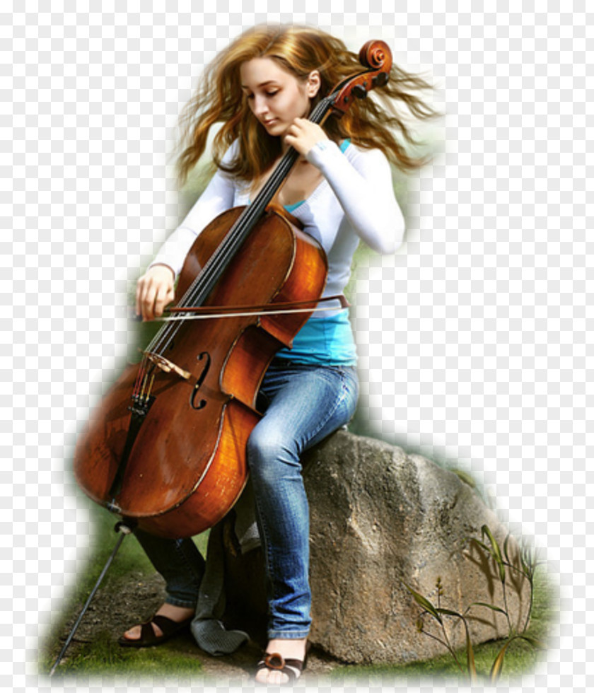 Violin Violone Cello Double Bass Viola PNG