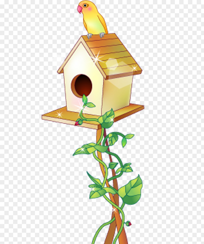 Bird House Cartoon PNG