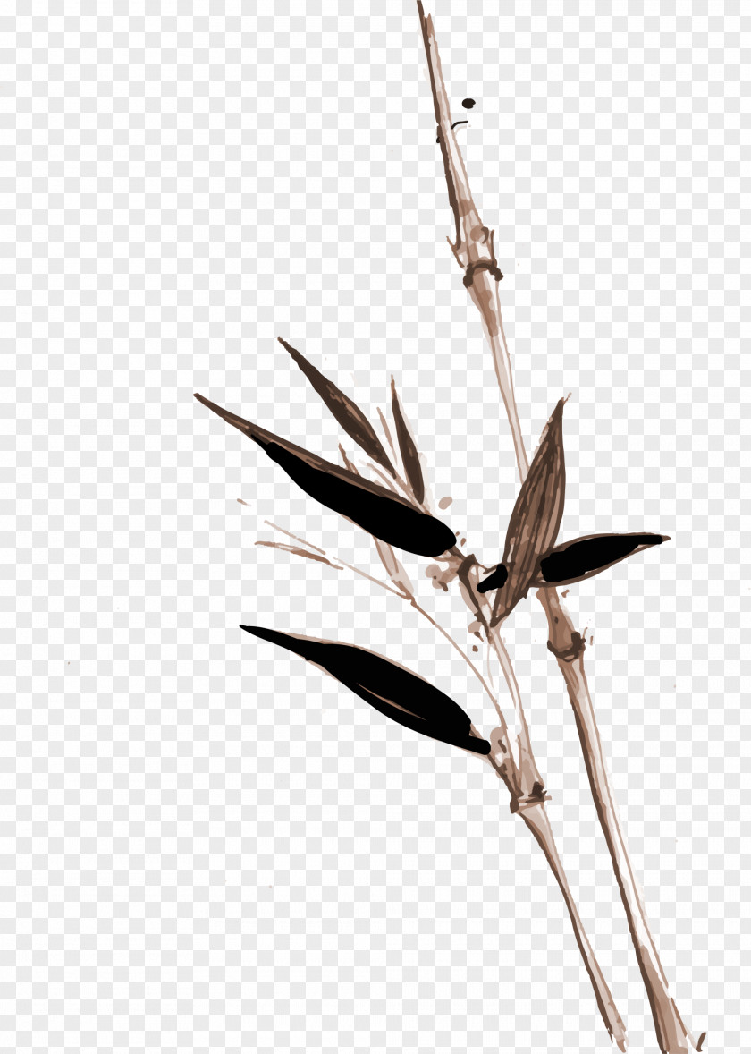 Brown Chinese Bamboo Bird PNG