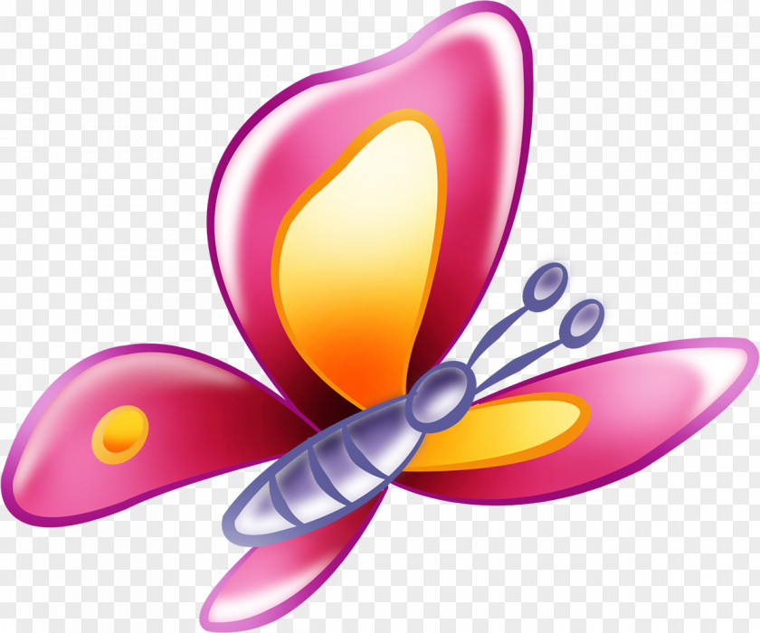 Butterfly Drawing Animation Clip Art PNG