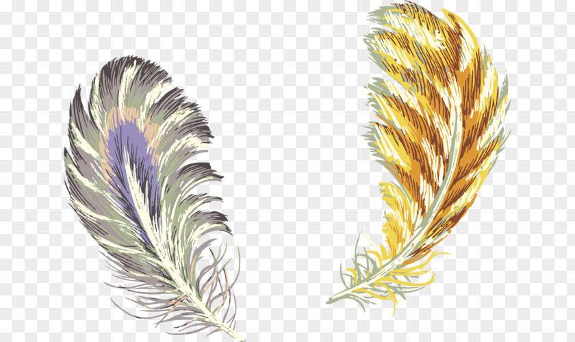 Feather Samsung Galaxy Color Gold PNG