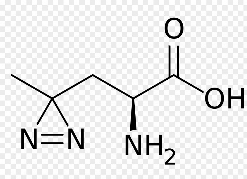 Phenylalanine Glutamic Acid Nitrotyrosine Leucine PNG