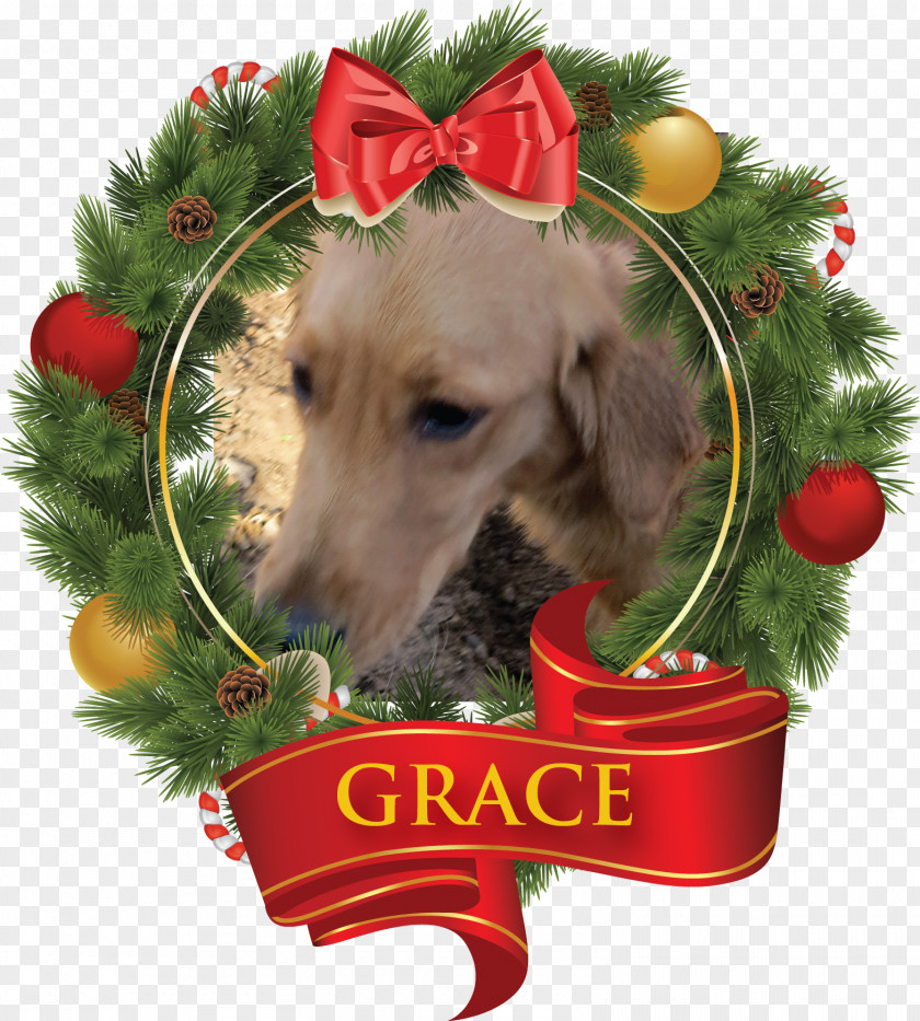 Spring Festival Gala Dog Breed Puppy Christmas Ornament PNG