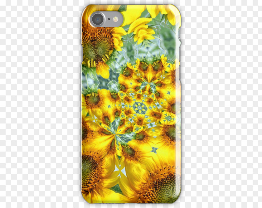 Sunflower Decorative Material Seed M Sunflowers Mobile Phone Accessories Phones PNG