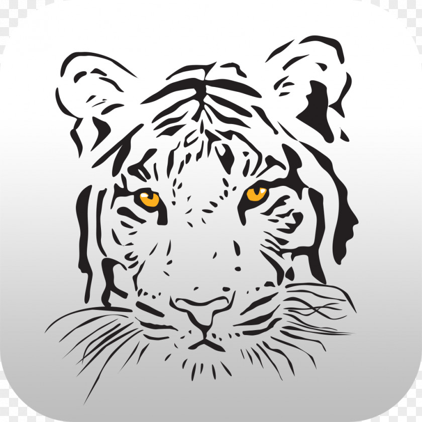 Tiger White Abziehtattoo Felidae PNG