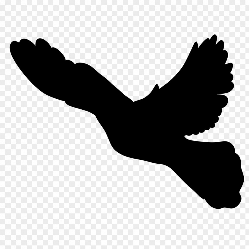 Bird Silhouette Finger Beak Shoe Clip Art PNG