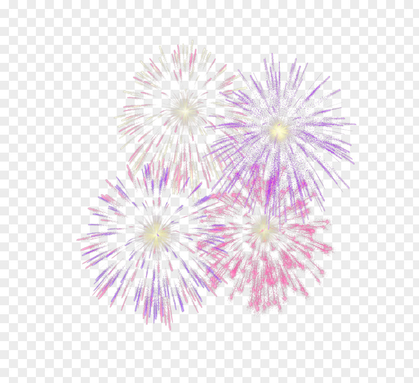 Fireworks Firecracker Image Color PNG