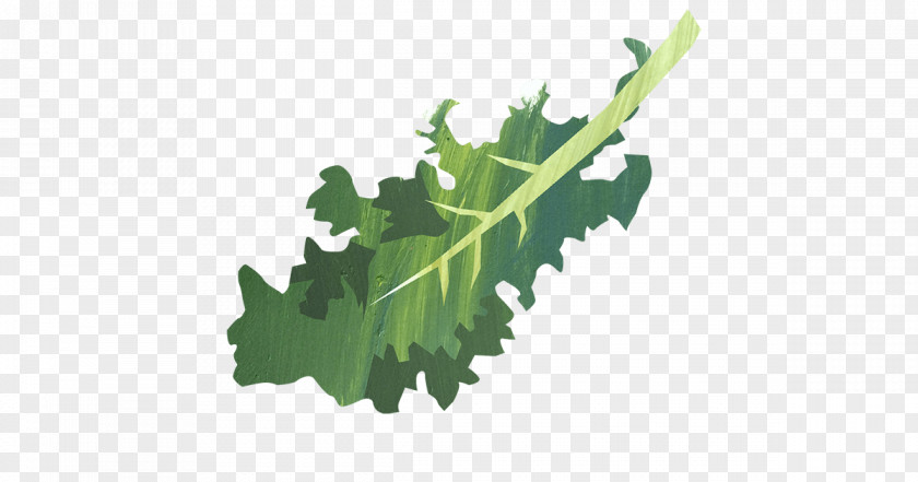 Kale Caesar Salad Lacinato Unicorn Grocery Recipe Leaf Vegetable PNG