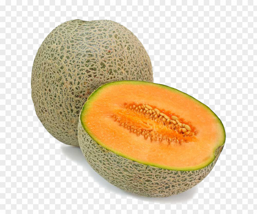 Melon Cantaloupe Organic Food Fruit Honeydew PNG