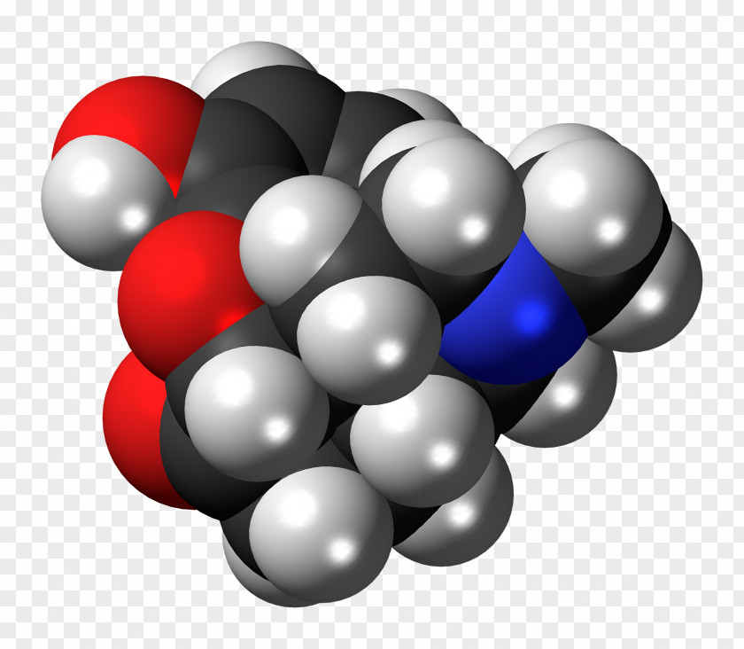 Molecule Hydromorphone Space-filling Model Codeine Opioid Morphine PNG