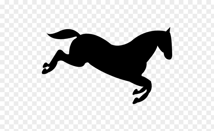 Mustang Pony Mane English Riding Rein Stallion PNG