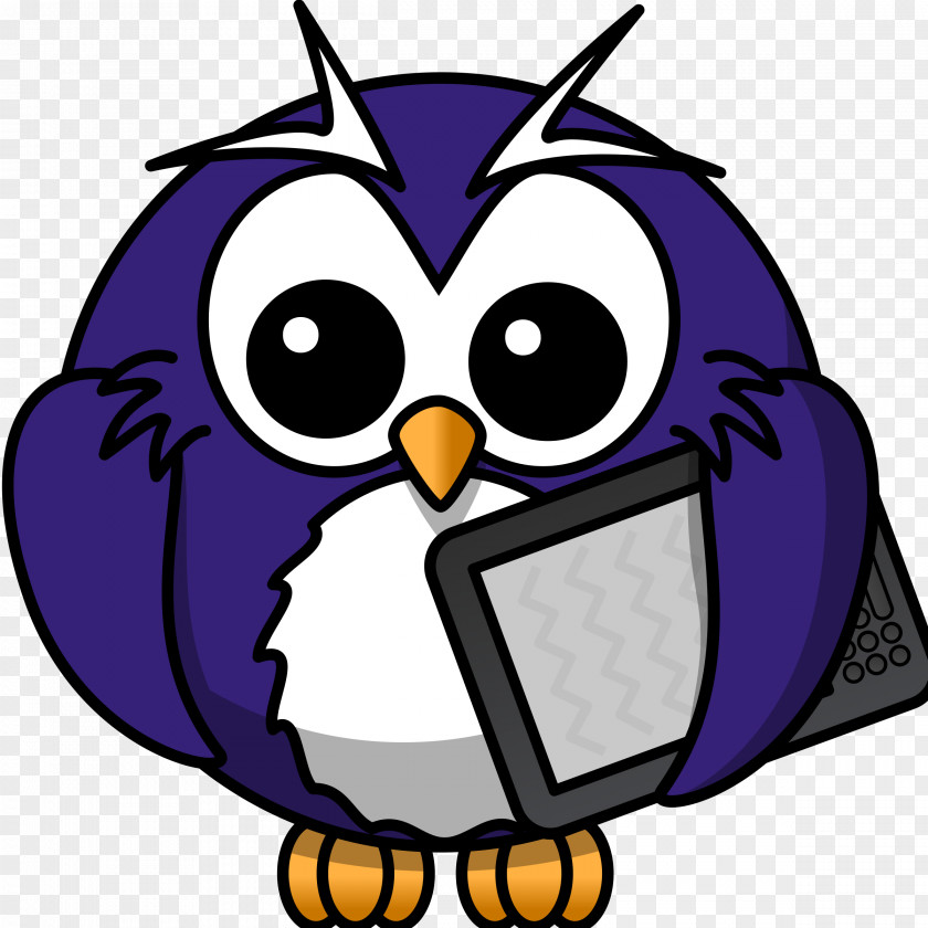 Owl Bird Drawing Clip Art PNG