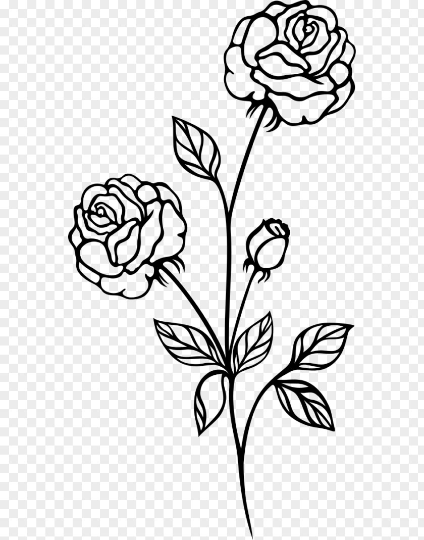 Rose Clipart Black And White Transparent Drawing Clip Art PNG