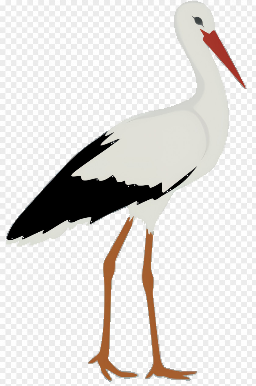 Stilt Wildlife Crane Bird PNG