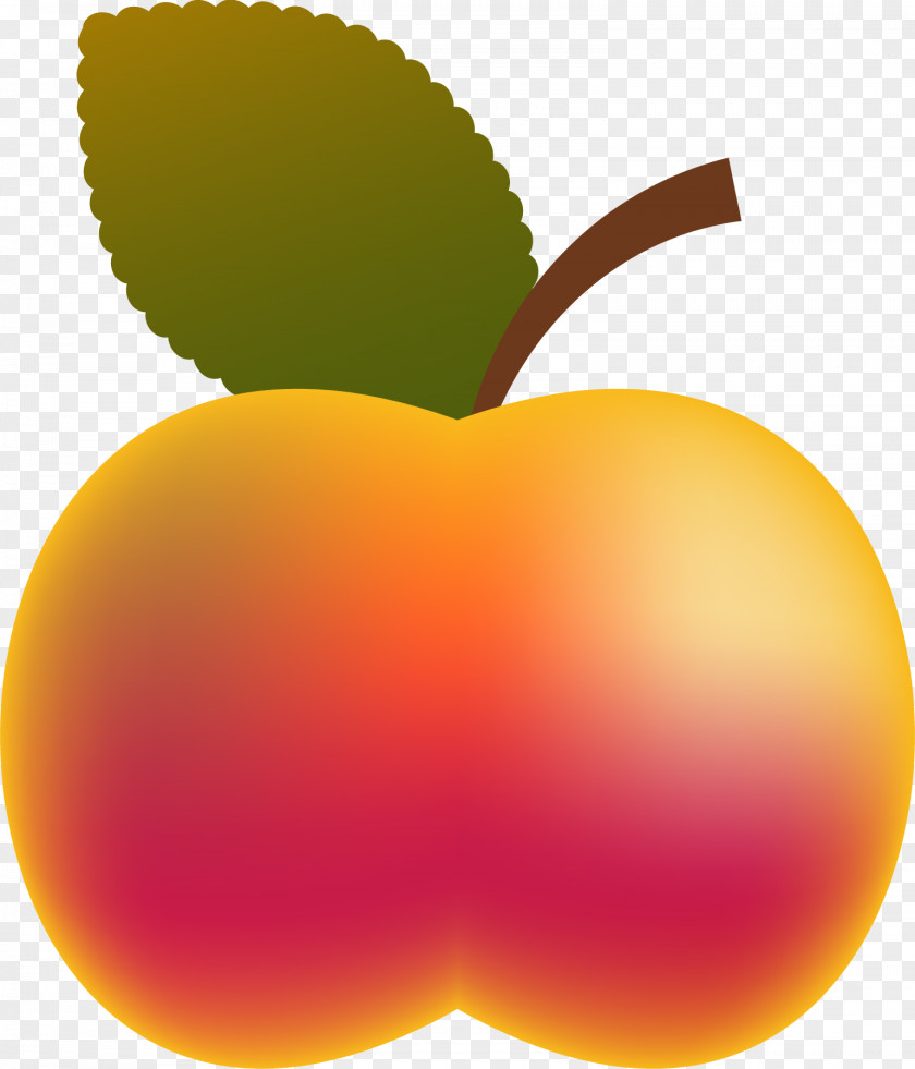 An Apple Illustration PNG