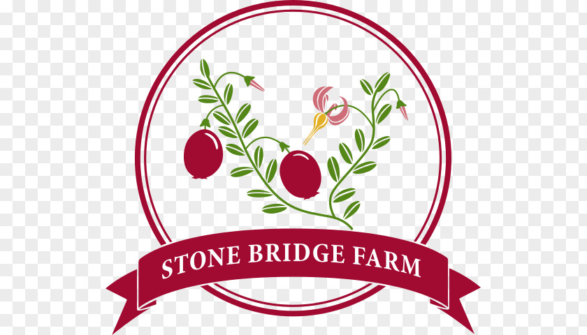 Cranberry Bog Cape Cod Stone Bridge Farm Foodshed South Coast Local Food PNG