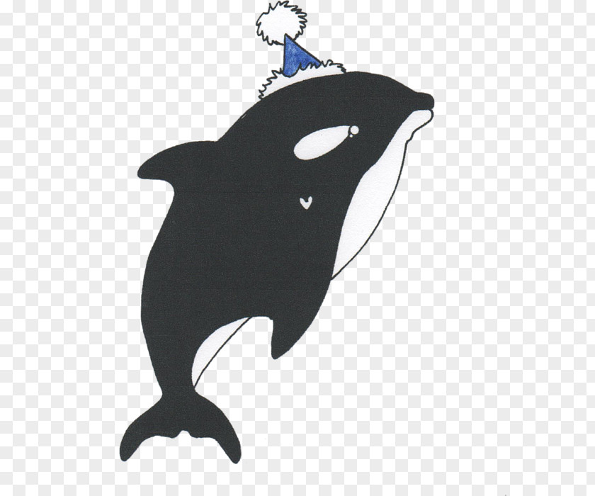Dolphin T-shirt Party Hat Killer Whale Silhouette PNG