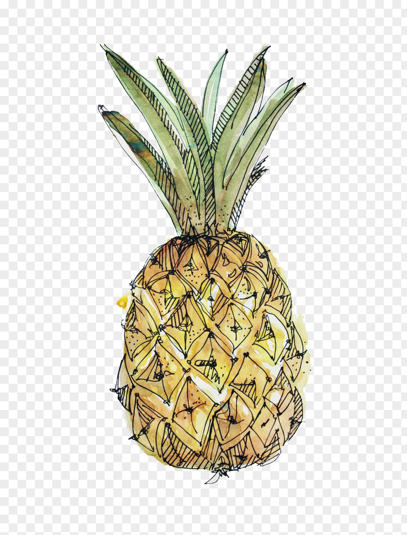 Hand-painted Pineapple Paper Drawing Watercolor Painting Illustration PNG