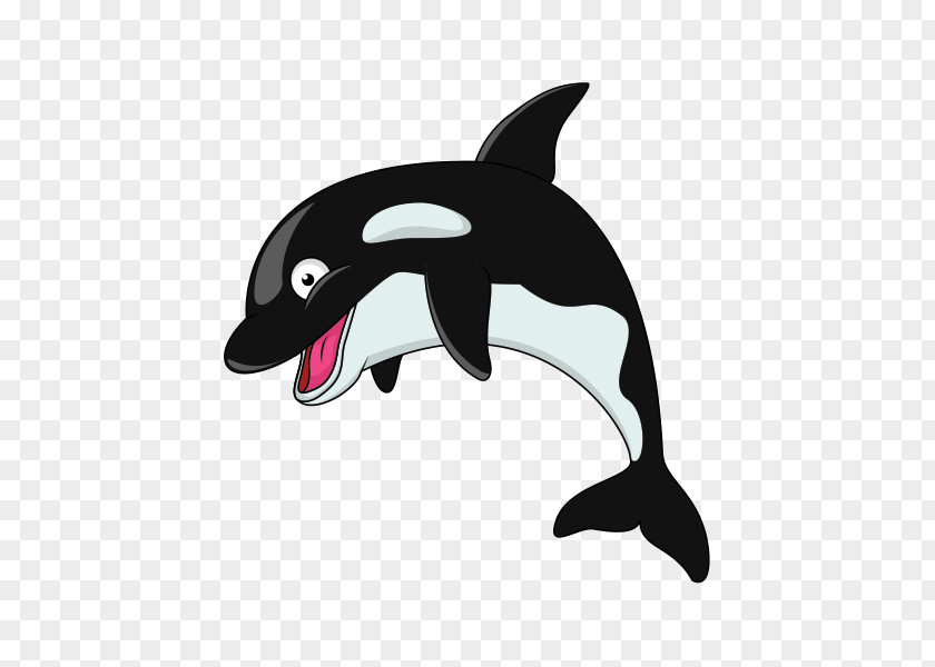 Killer Whale Clip Art PNG